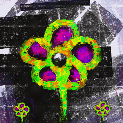 Motion Graphic — collection cover